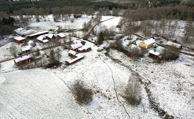Farm/Ranch for Sale Byvagen, 568 92 Skillingaryd. Photo#25