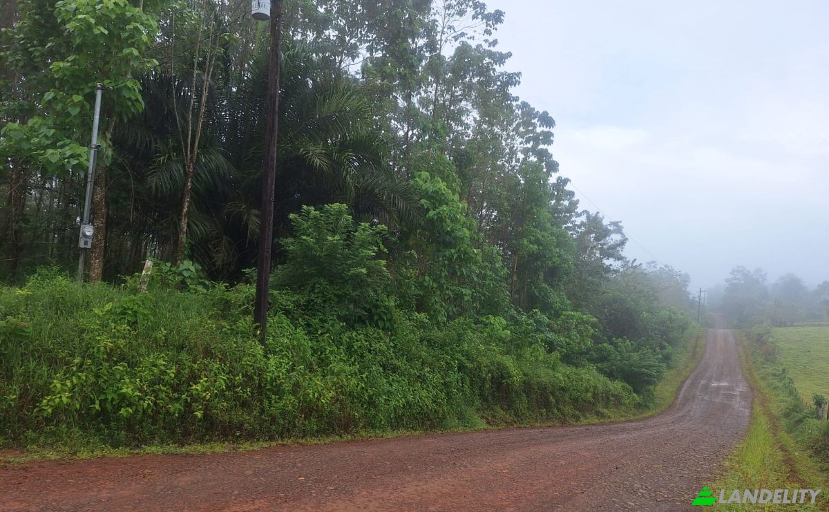 Inversión/Desarrollo en venta Pocosol, Provincia de Alajuela, San Carlos, Costa Rica. Foto 7