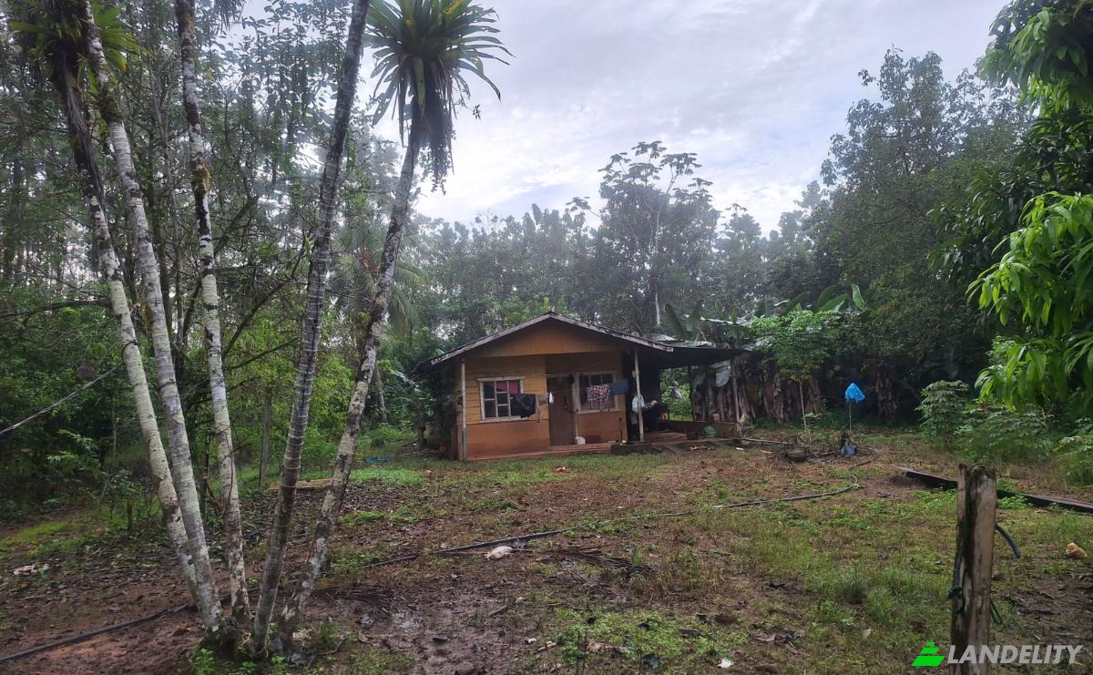 Inversión/Desarrollo en venta Pocosol, Provincia de Alajuela, San Carlos, Costa Rica. Foto 8