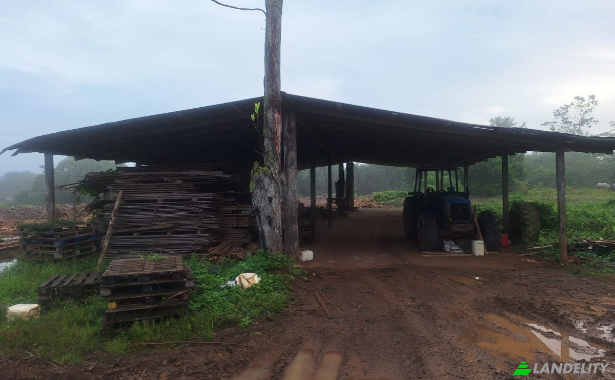 Inversión/Desarrollo en venta Pocosol, Provincia de Alajuela, San Carlos, Costa Rica. Foto 9