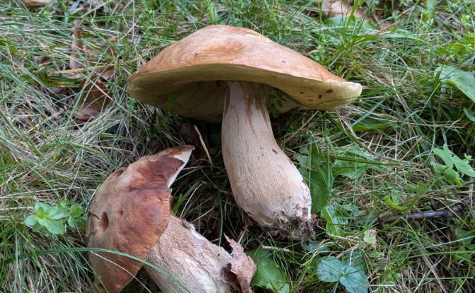 Eengezinswoning Te koop 529 Urties, 09320 Massat. Foto#14