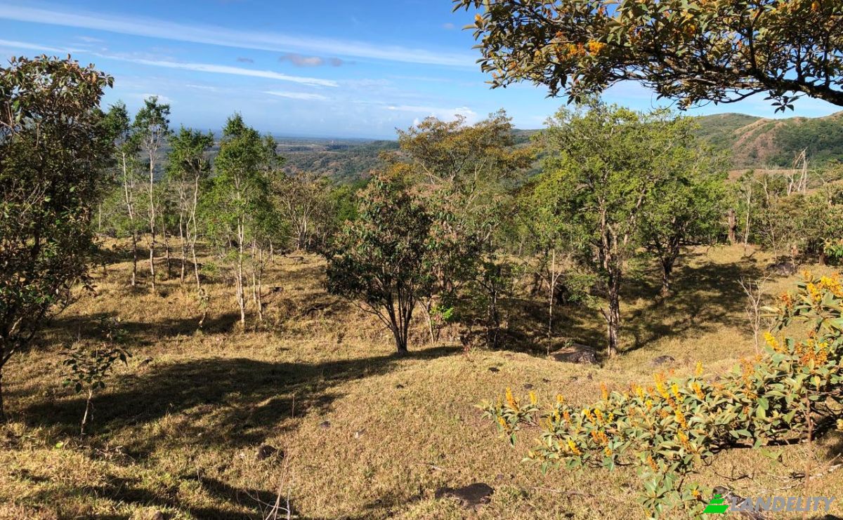 Inversión/Desarrollo en venta Alto Boquete, Boquete, Provincia de Chiriquí, Panamá. Foto 13