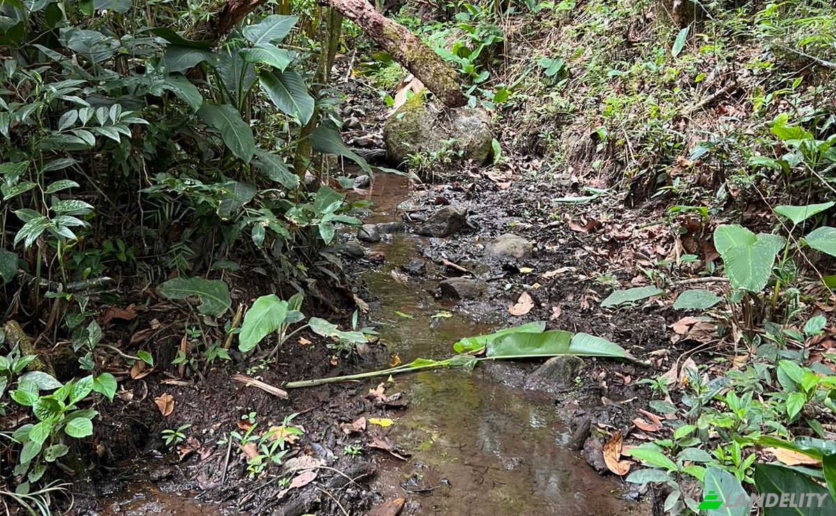 Inversión/Desarrollo en venta Alto Boquete, Boquete, Provincia de Chiriquí, Panamá. Foto 4