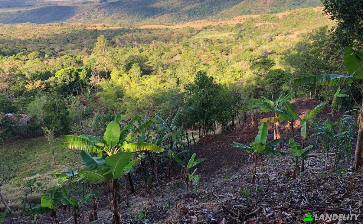 Inversión/Desarrollo en venta Alto Boquete, Boquete, Provincia de Chiriquí, Panamá. Foto 5