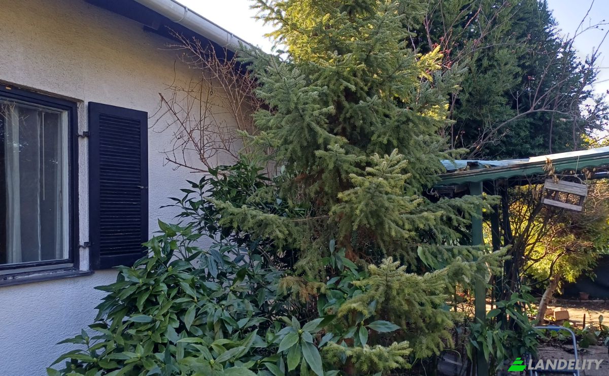 Einfamilienhaus zu verkaufen Vösendorfer Str 46, 1230 Wien, Wien, Österreich. Foto 7
