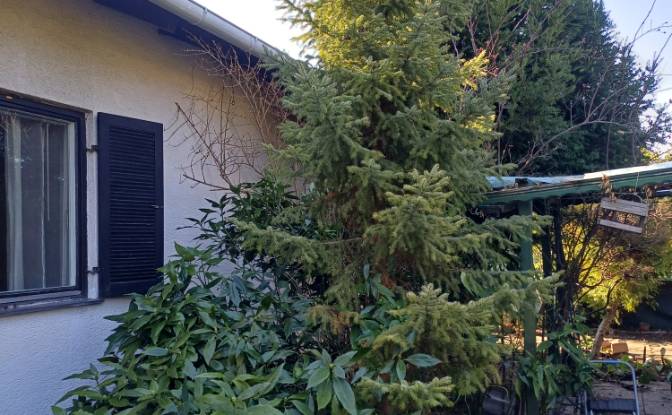 Einfamilienhaus zu verkaufen Vösendorfer Str 46. Foto#7