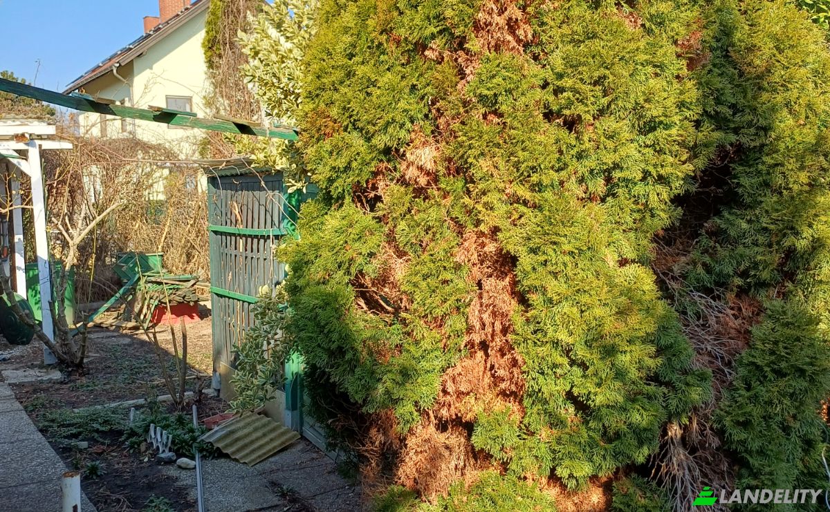 Einfamilienhaus zu verkaufen Vösendorfer Str 46, 1230 Wien, Wien, Österreich. Foto 8