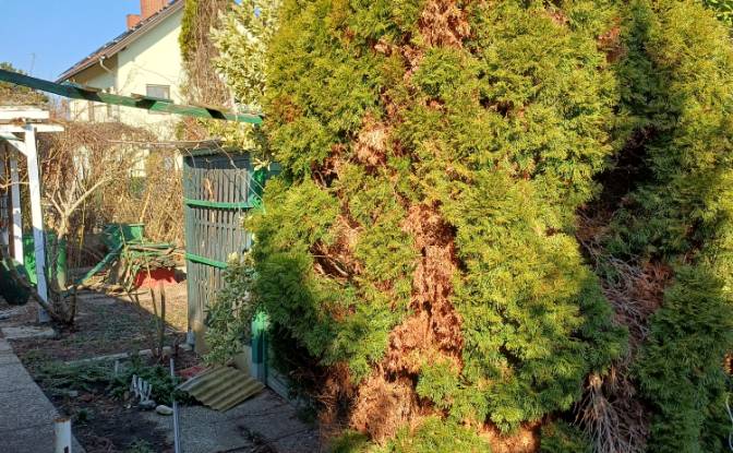 Einfamilienhaus zu verkaufen Vösendorfer Str 46. Foto#8