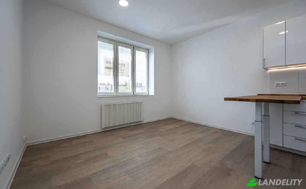 Apartment for Sale Strazni, Praha Zizkov, Prague, Hlavni mesto Praha, Czechia. Photo 18