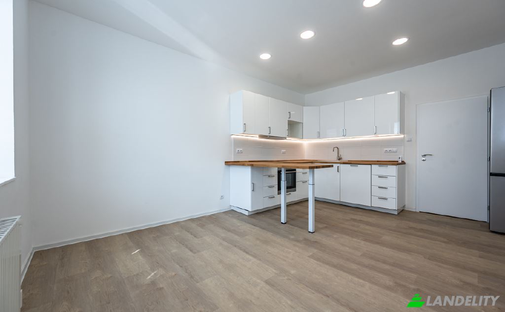 Apartment for Sale Strazni, Praha Zizkov, Prague, Hlavni mesto Praha, Czechia. Photo 19