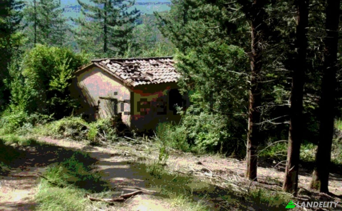 Farm/Ranch for Sale Strada Senza Nome, 58037 Santa Fiora GR, Santa Fiora, Province of Grosseto, Tuscany, Italy. Photo 1