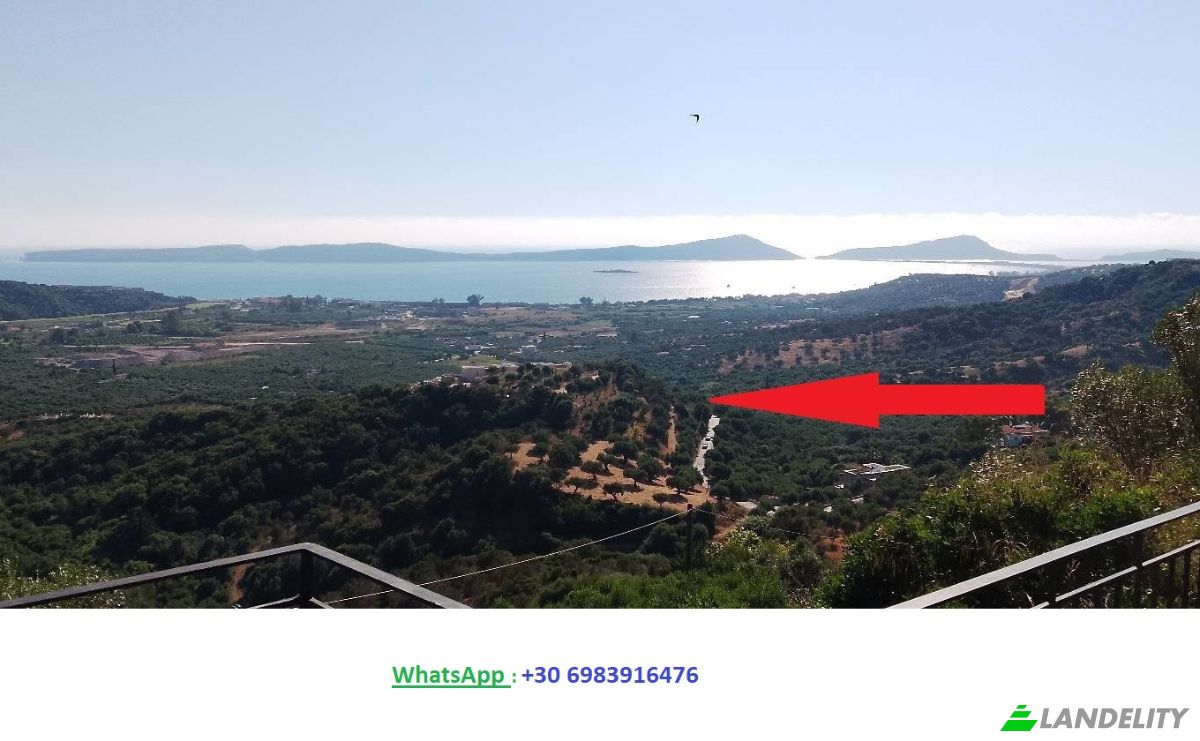 Investition/Entwicklung zu verkaufen Pilos 240 01, Pilos, Peloponnese Region, Decentralized Administration of Peloponnese, Western Greece and the Ionian, Greece. Foto 1