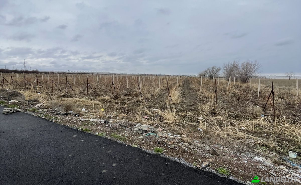 Grondperceel Te koop Vagharshapat, Armavir Province, Armenia. Foto 3