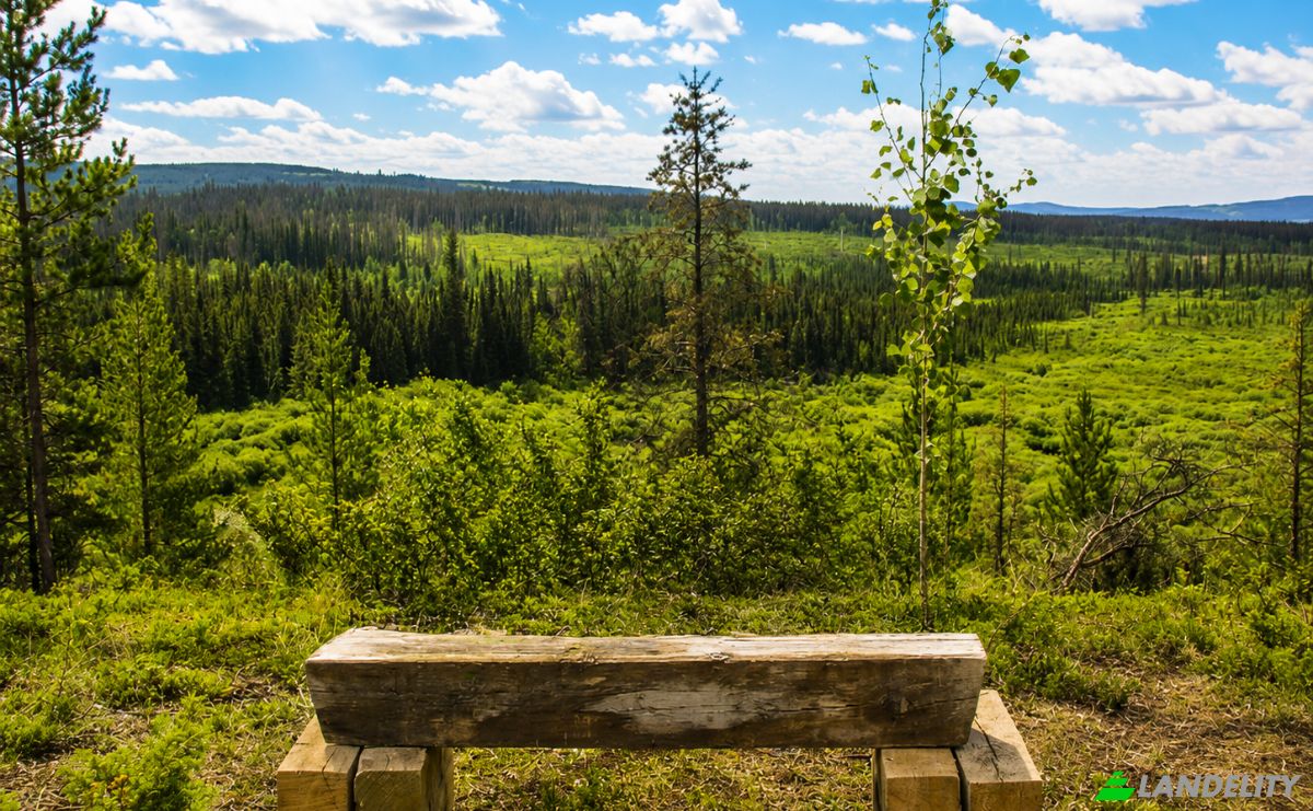 Land Lot for Sale 3300 Forest Service Rd, Quesnel, BC V0L 1P0, 3300 Forest Service Road, Cariboo, British Columbia, Canada. Photo 4
