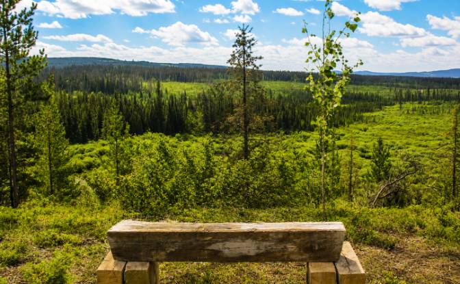 Land Lot for Sale 3300 Forest Service Rd, Quesnel. Photo#4