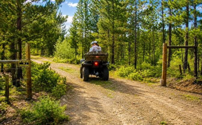 Land Lot for Sale 3300 Forest Service Rd, Quesnel. Photo#5