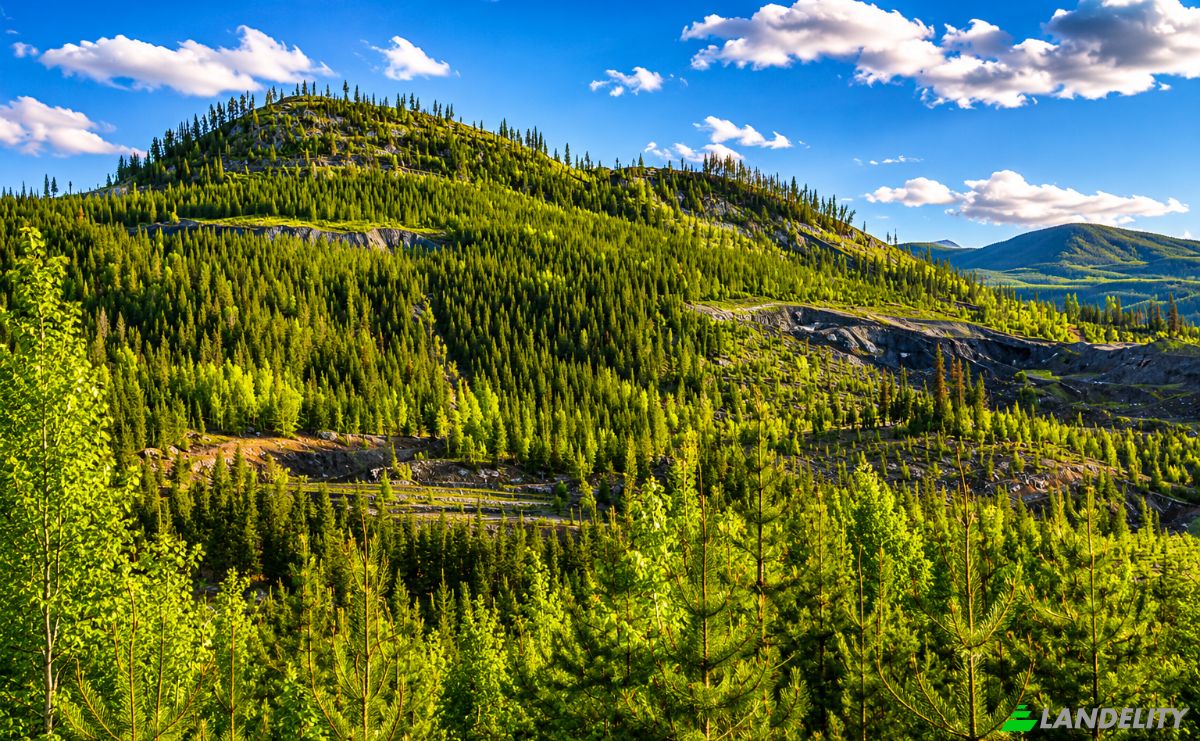 Land Lot for Sale 3300 Forest Service Rd, Quesnel, BC V0L 1P0, 3300 Forest Service Road, Cariboo, British Columbia, Canada. Photo 6