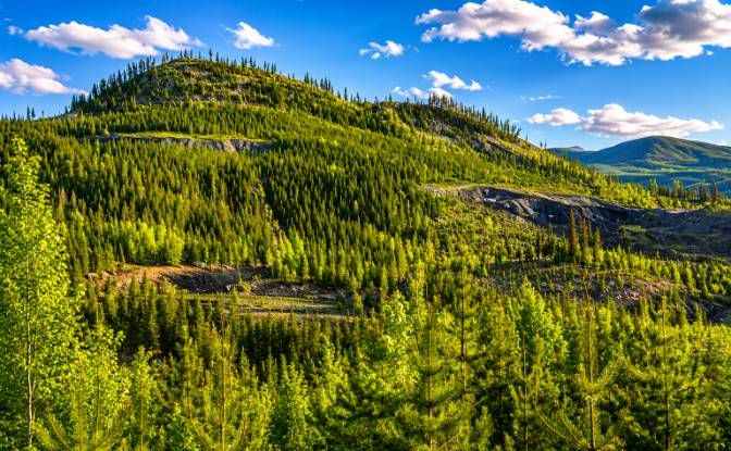 Land Lot for Sale 3300 Forest Service Rd, Quesnel. Photo#6