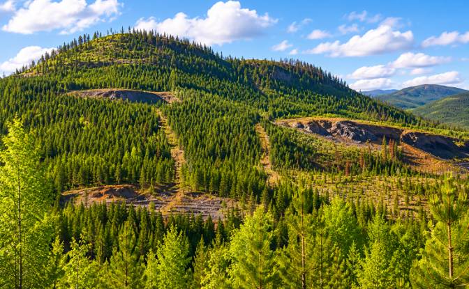Land Lot for Sale 3300 Forest Service Rd, Quesnel. Photo#7