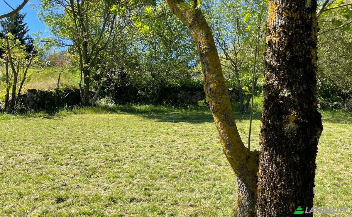 Investing/Development for Sale 5 Chem des Bergeries, 34650 Joncels, Joncels, Herault, Occitanie, France. Photo 8
