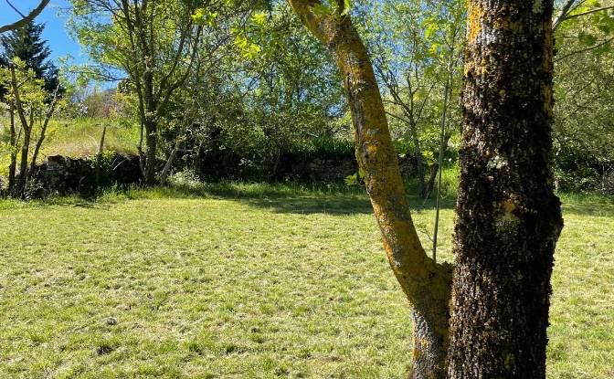 Investing/Development for Sale 5 Chem des. Photo#8 Investing/Development for Sale 5 Chem des. Photo#8