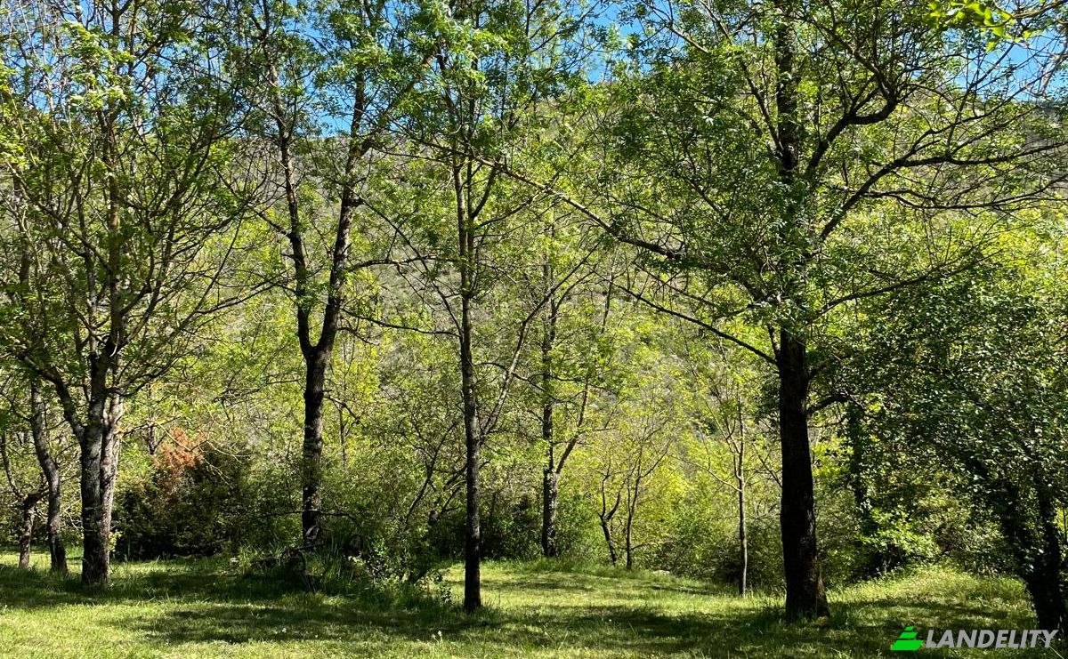 Investing/Development for Sale 5 Chem des Bergeries, 34650 Joncels, Joncels, Herault, Occitanie, France. Photo 10