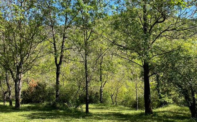 Investing/Development for Sale 5 Chem des. Photo#10 Investing/Development for Sale 5 Chem des. Photo#10