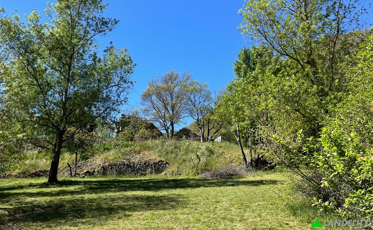 Investing/Development for Sale 5 Chem des Bergeries, 34650 Joncels, Joncels, Herault, Occitanie, France. Photo 11