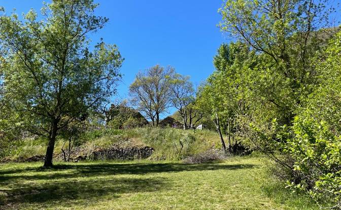 Investing/Development for Sale 5 Chem des. Photo#11 Investing/Development for Sale 5 Chem des. Photo#11
