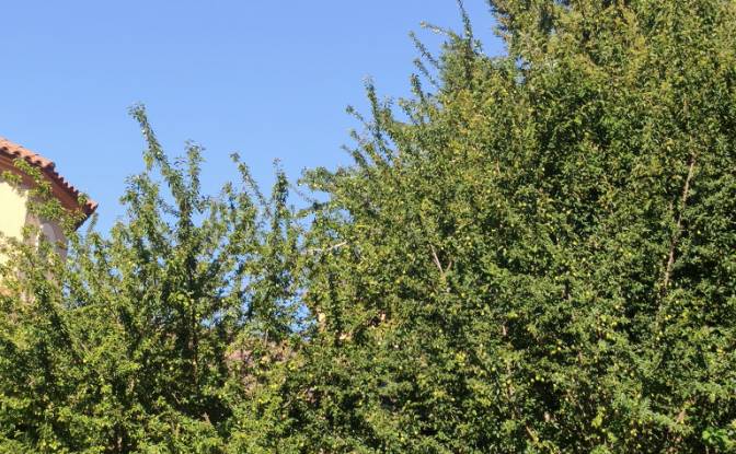 Investing/Development for Sale 5 Chem des. Photo#2 Investing/Development for Sale 5 Chem des. Photo#2