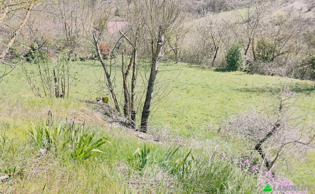 Investing/Development for Sale 5 Chem des Bergeries, 34650 Joncels, Joncels, Herault, Occitanie, France. Photo 5