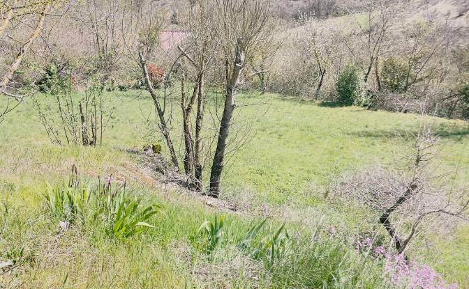 Investing/Development for Sale 5 Chem des. Photo#5 Investing/Development for Sale 5 Chem des. Photo#5