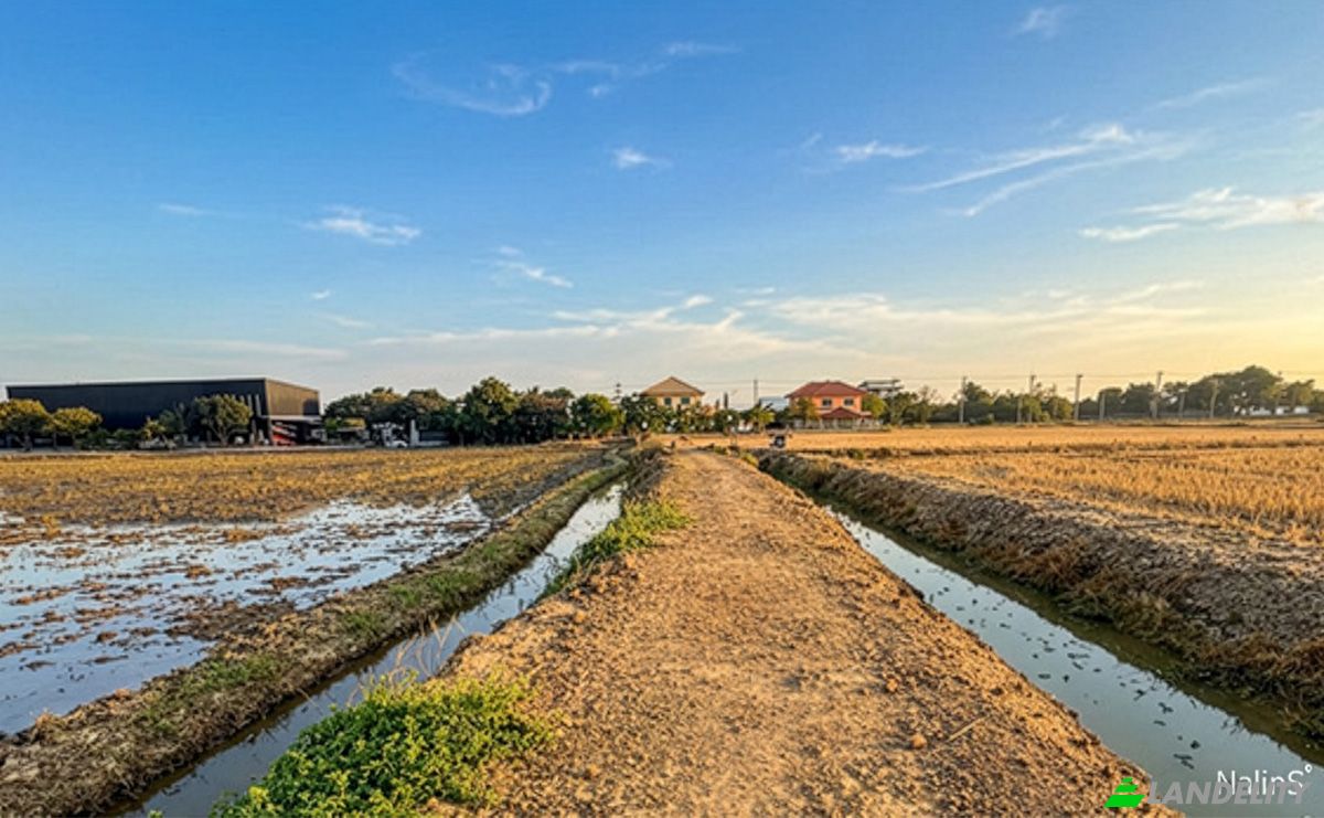 Investing/Development for Sale Maha Sawat, Phutthamonthon District, Nakhon Pathom 73210, Bang Toei, Sam Phran District, Nakhon Pathom, Thailand. Photo 4