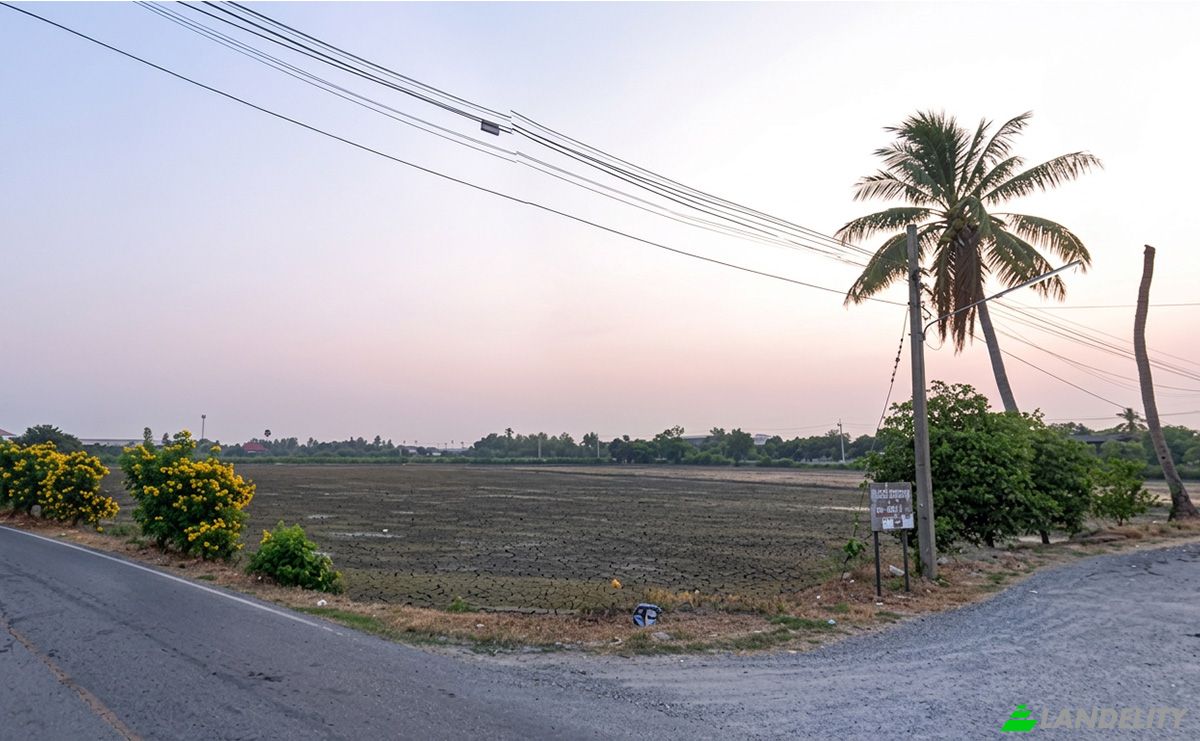 Investing/Development for Sale Maha Sawat, Phutthamonthon District, Nakhon Pathom 73210, Bang Toei, Sam Phran District, Nakhon Pathom, Thailand. Photo 7