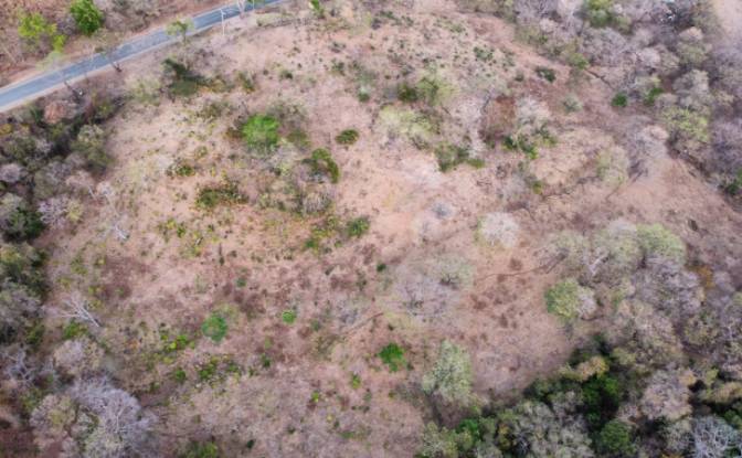 Investing/Development for Sale NIC-62, El Giganton. Photo#3