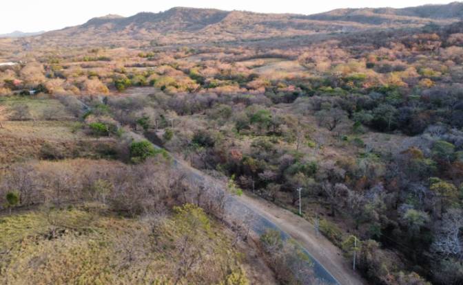 Investing/Development for Sale NIC-62, El Giganton. Photo#4