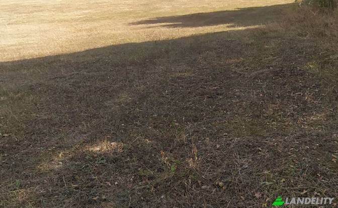 Land Lot for Sale usaxelo gza, Manglisi. Photo#10 Land Lot for Sale usaxelo gza, Manglisi. Photo#10
