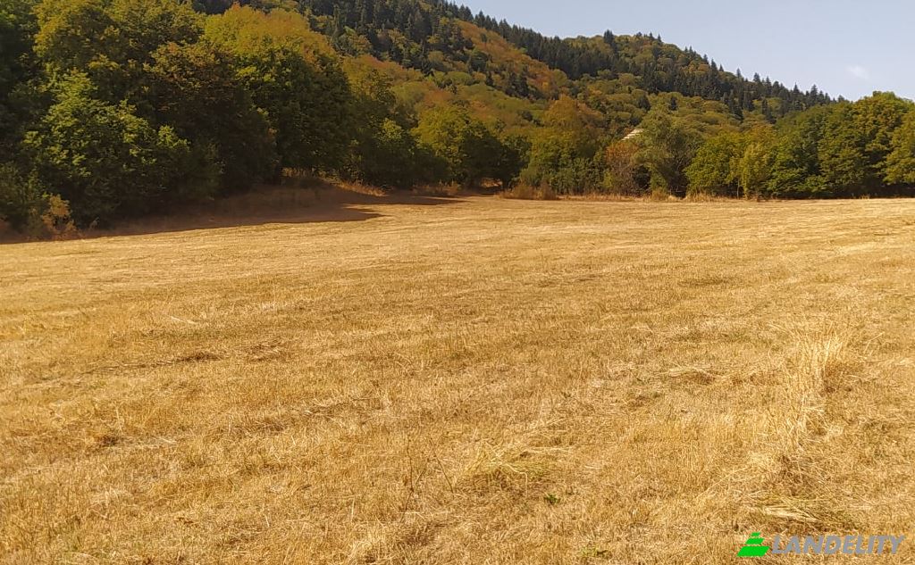 Land Lot for Sale usaxelo gza, Manglisi, Kvemo Kartli, Georgia. Photo 3