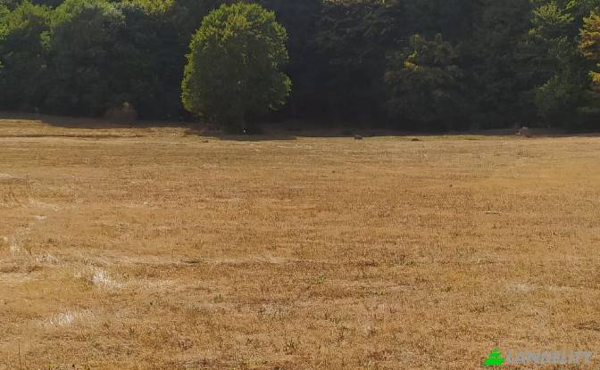 Land Lot for Sale usaxelo gza, Manglisi. Photo#4 Land Lot for Sale usaxelo gza, Manglisi. Photo#4
