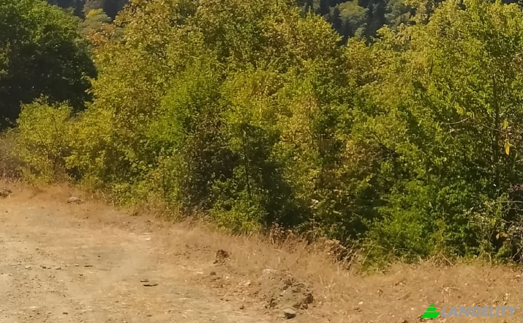 Land Lot for Sale usaxelo gza, Manglisi, Kvemo Kartli, Georgia. Photo 7