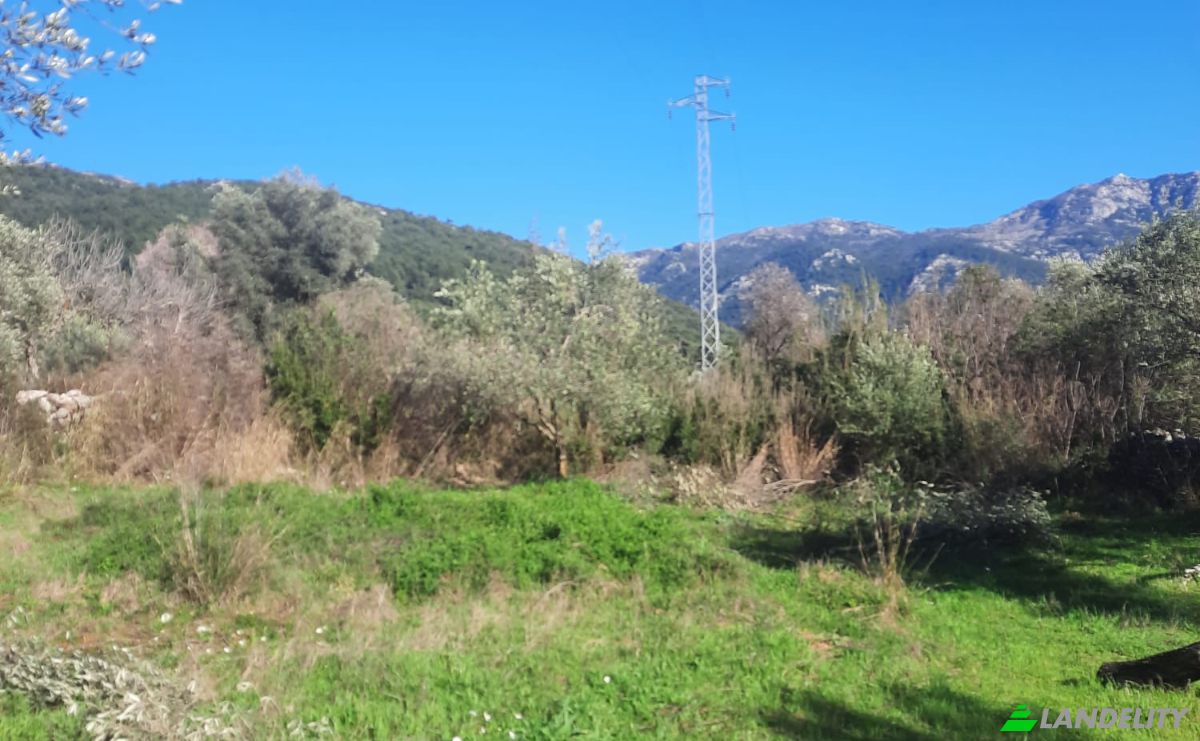 Island for Sale Incirkoy, ova kume evleri no 35 2, 48300 Fethiye Mugla, Fethiye Mugla, Fethiye, Mugla, Turkiye. Photo 11