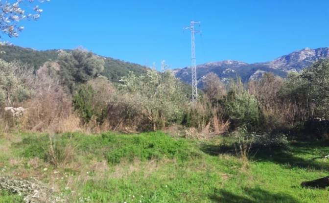 Island for Sale Incirkoy, ova kume evleri no 35 2. Photo#11 Island for Sale Incirkoy, ova kume evleri no 35 2. Photo#11