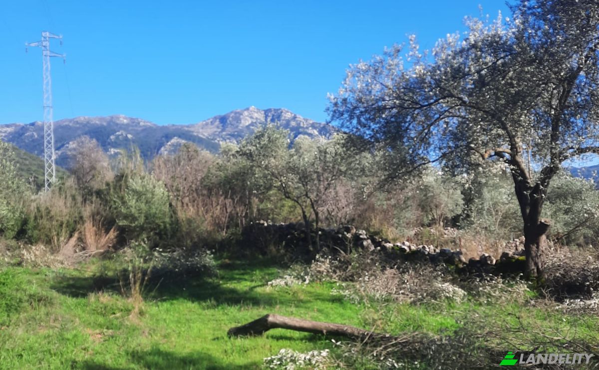 Island for Sale Incirkoy, ova kume evleri no 35 2, 48300 Fethiye Mugla, Fethiye Mugla, Fethiye, Mugla, Turkiye. Photo 12