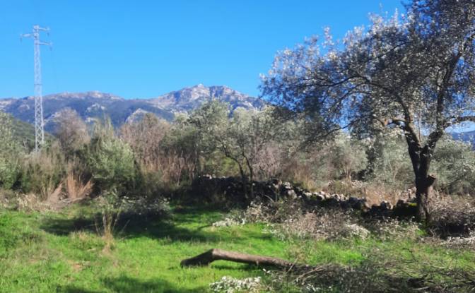 Island for Sale Incirkoy, ova kume evleri no 35 2. Photo#12 Island for Sale Incirkoy, ova kume evleri no 35 2. Photo#12