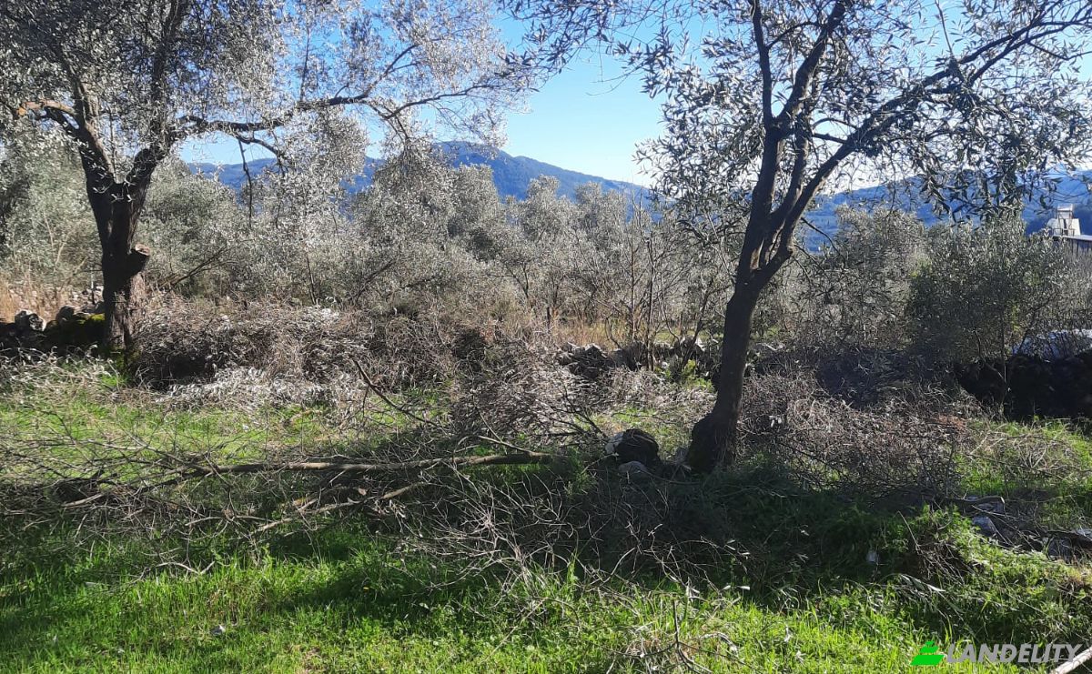 Island for Sale Incirkoy, ova kume evleri no 35 2, 48300 Fethiye Mugla, Fethiye Mugla, Fethiye, Mugla, Turkiye. Photo 13