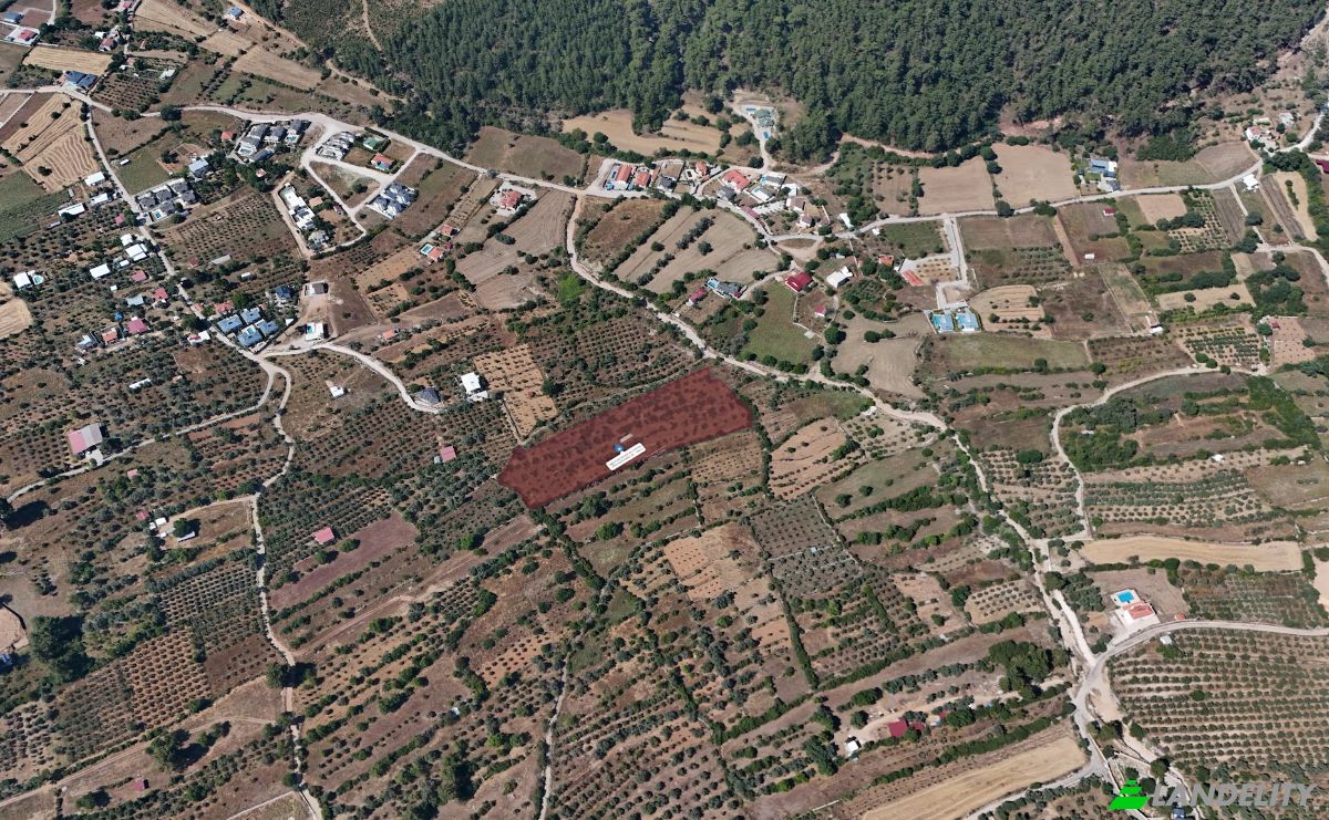 Island for Sale Incirkoy, ova kume evleri no 35 2, 48300 Fethiye Mugla, Fethiye Mugla, Fethiye, Mugla, Turkiye. Photo 4