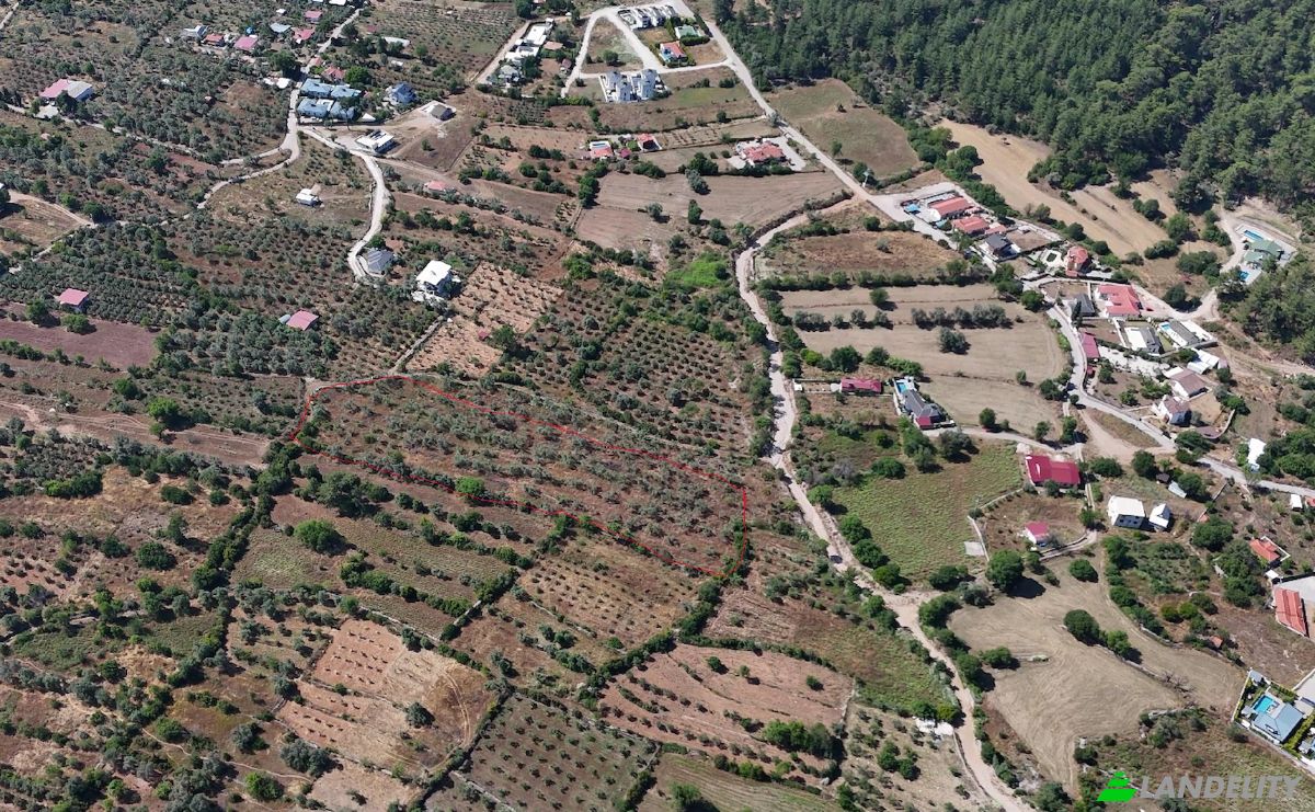 Island for Sale Incirkoy, ova kume evleri no 35 2, 48300 Fethiye Mugla, Fethiye Mugla, Fethiye, Mugla, Turkiye. Photo 5