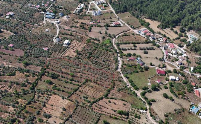 Island for Sale Incirkoy, ova kume evleri no 35 2. Photo#5 Island for Sale Incirkoy, ova kume evleri no 35 2. Photo#5