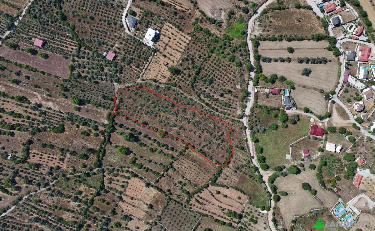Island for Sale Incirkoy, ova kume evleri no 35 2, 48300 Fethiye Mugla, Fethiye Mugla, Fethiye, Mugla, Turkiye. Photo 6
