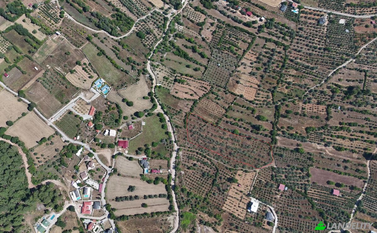 Island for Sale Incirkoy, ova kume evleri no 35 2, 48300 Fethiye Mugla, Fethiye Mugla, Fethiye, Mugla, Turkiye. Photo 7